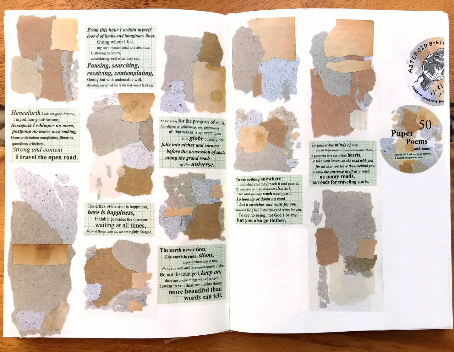 Asteroid B-610 - Paper Poems washi tape SAMPLES