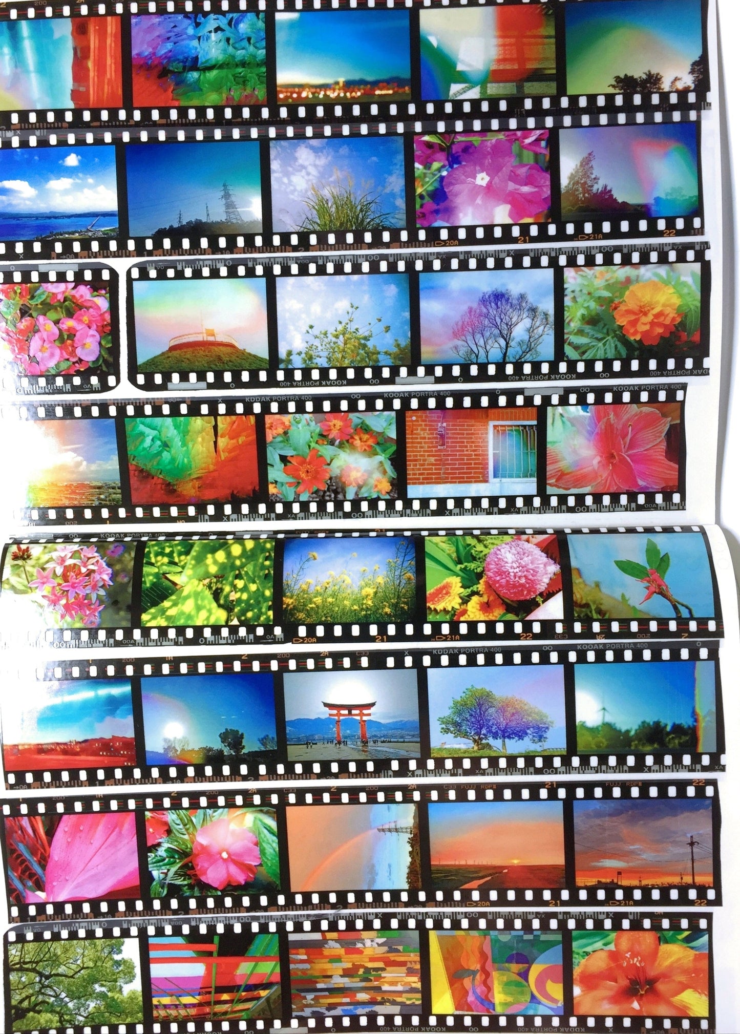 Asteroid B-610 - Multicolour PET tape (4 cm x 200 cm) SAMPLES