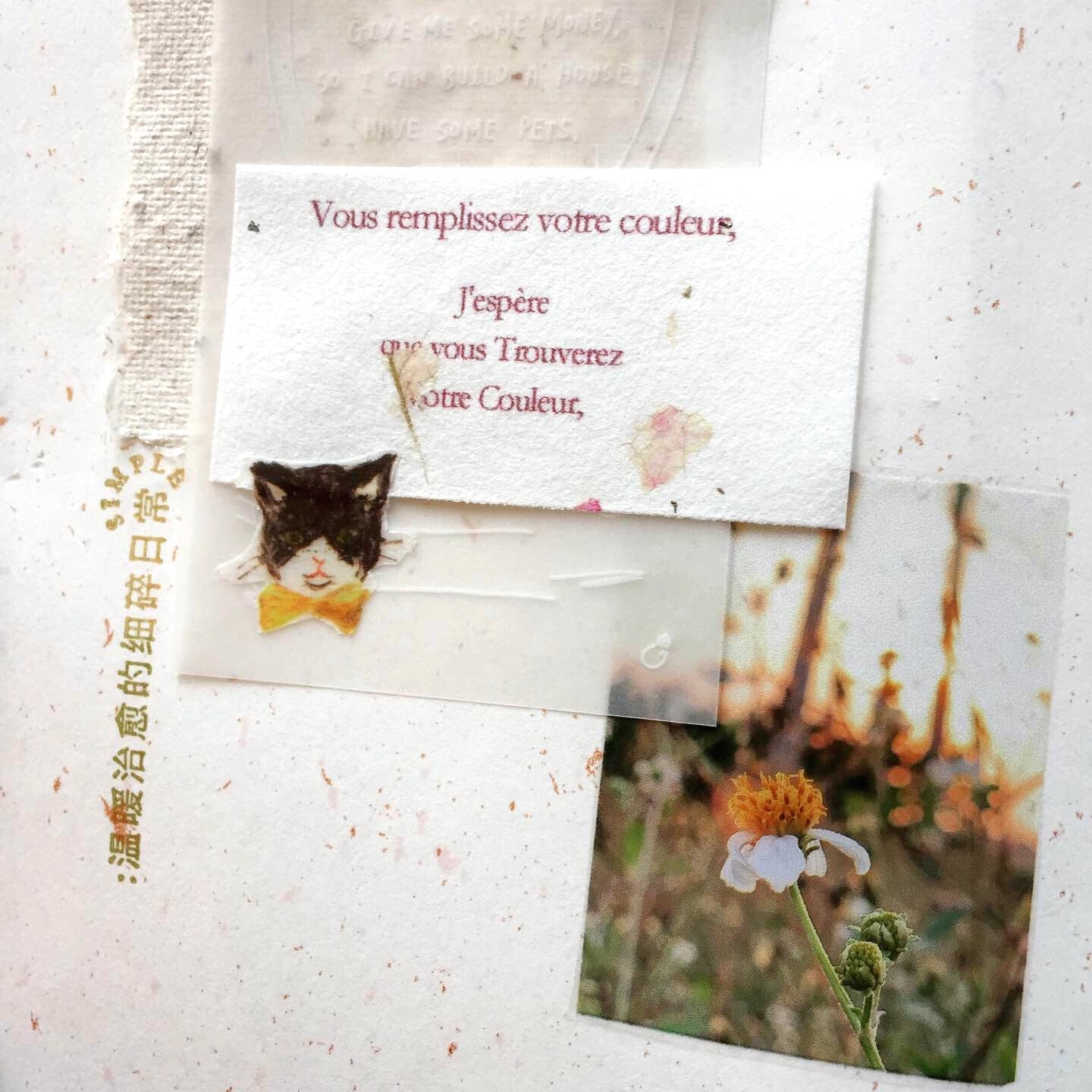 Cozyca x Violet & Claire - Cat and Bow washi tape SAMPLES