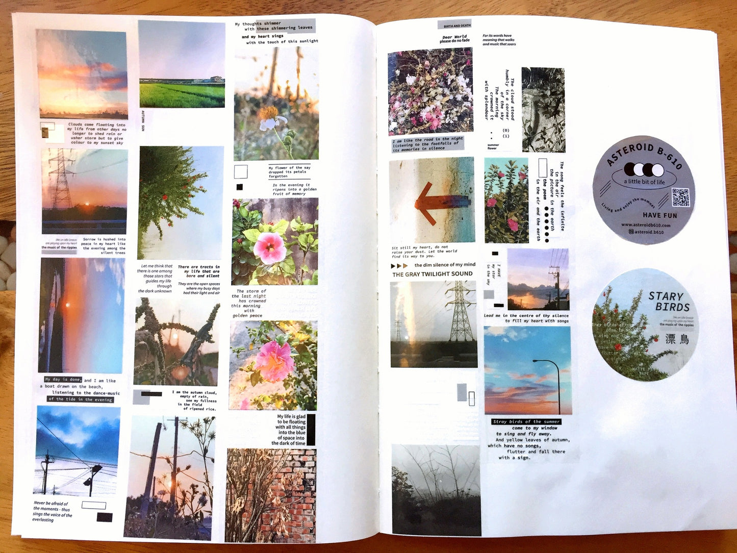 Asteroid B-610 - Stray Birds PET tape SAMPLES