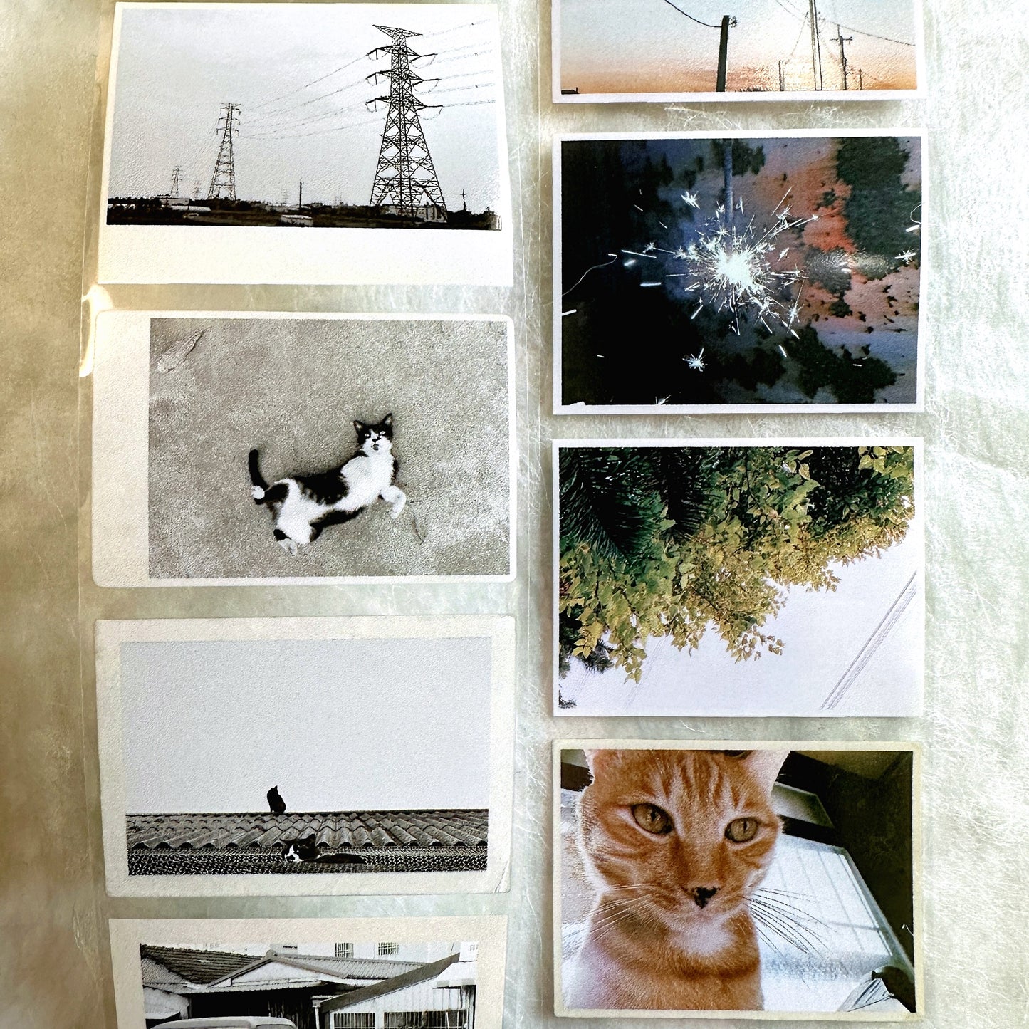 Asteroid B-610 - Wandering Moments PET tape SAMPLES