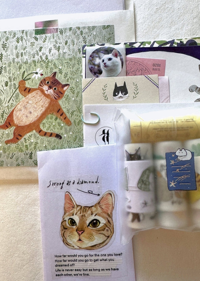 Yeon Charm - Sleepless Martini slim washi tape Sample / Whole Roll