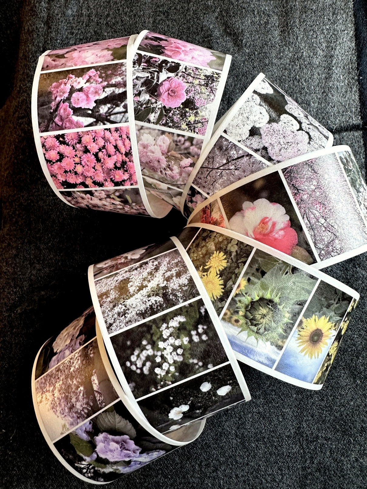 Lin Chia Ning - Journey Flower PET tape & Washi tape (200 cm) SAMPLES