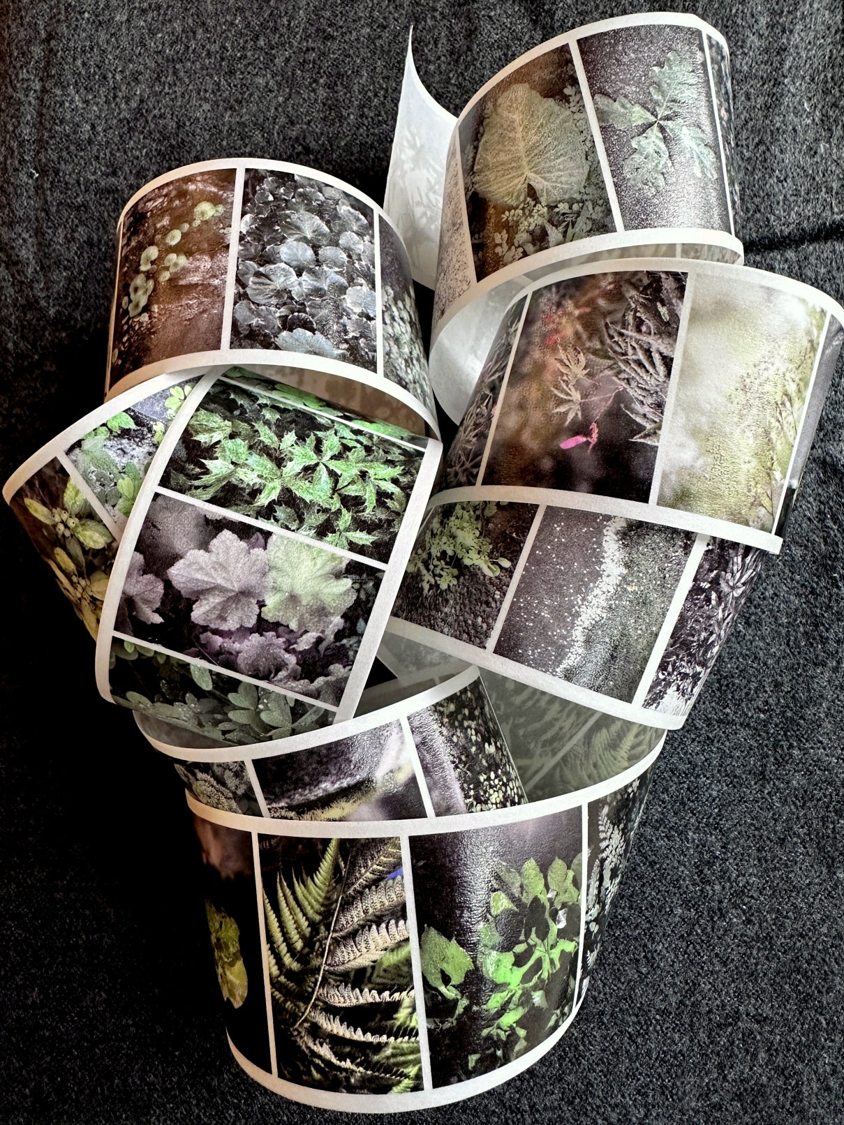Lin Chia Ning - Journey Leaf PET tape & Washi tape (200 cm) SAMPLES