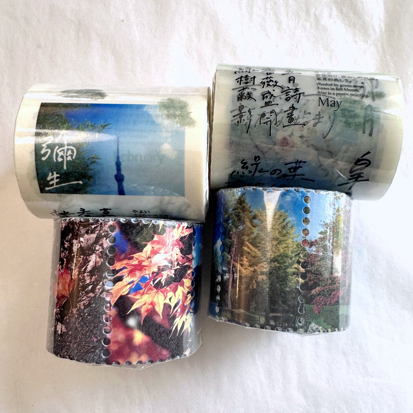 LihaoPaper - Calendar Months washi & PET tape SAMPLES