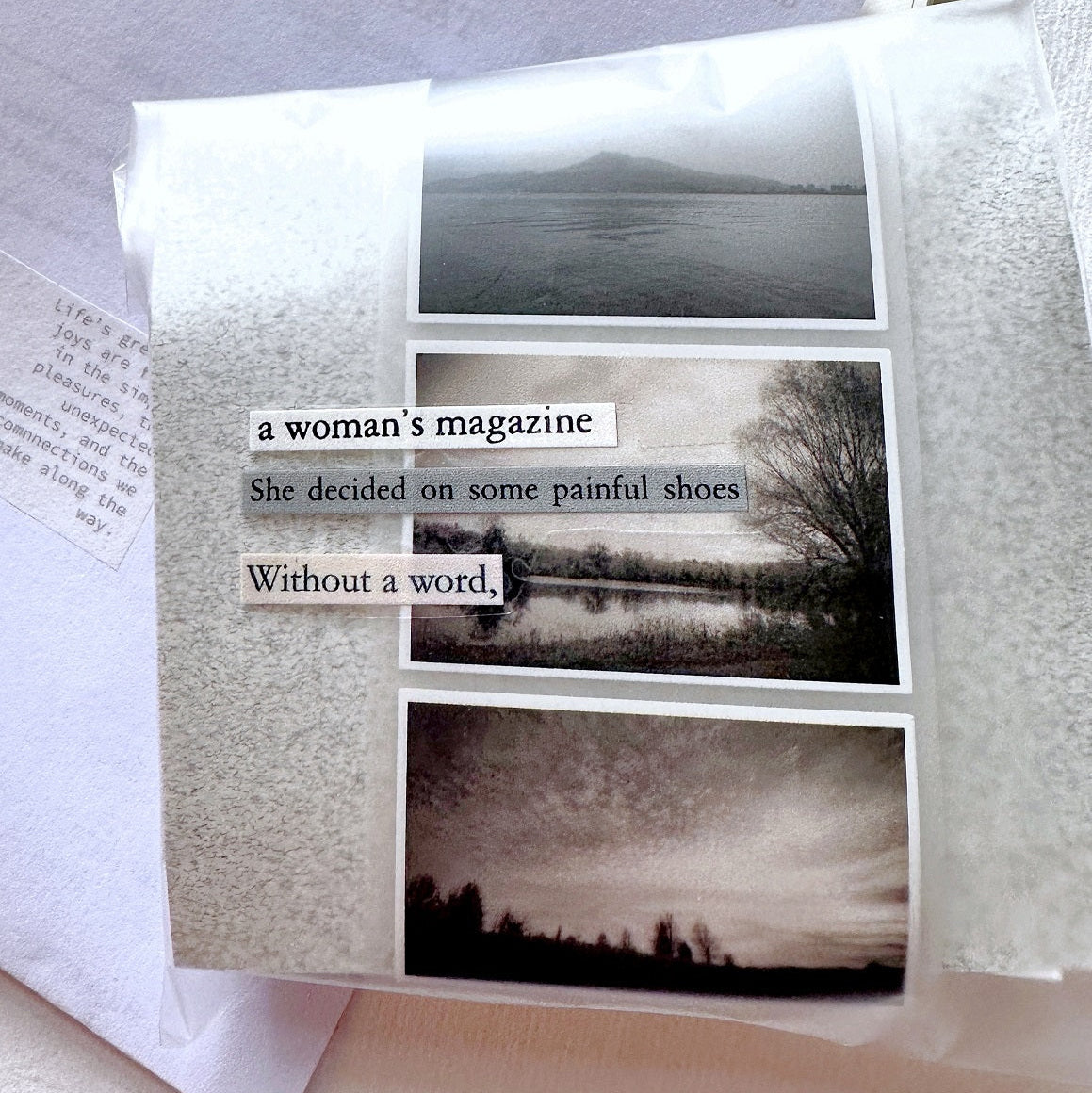 Mr. Eggplants - Monolog PET tape SAMPLES