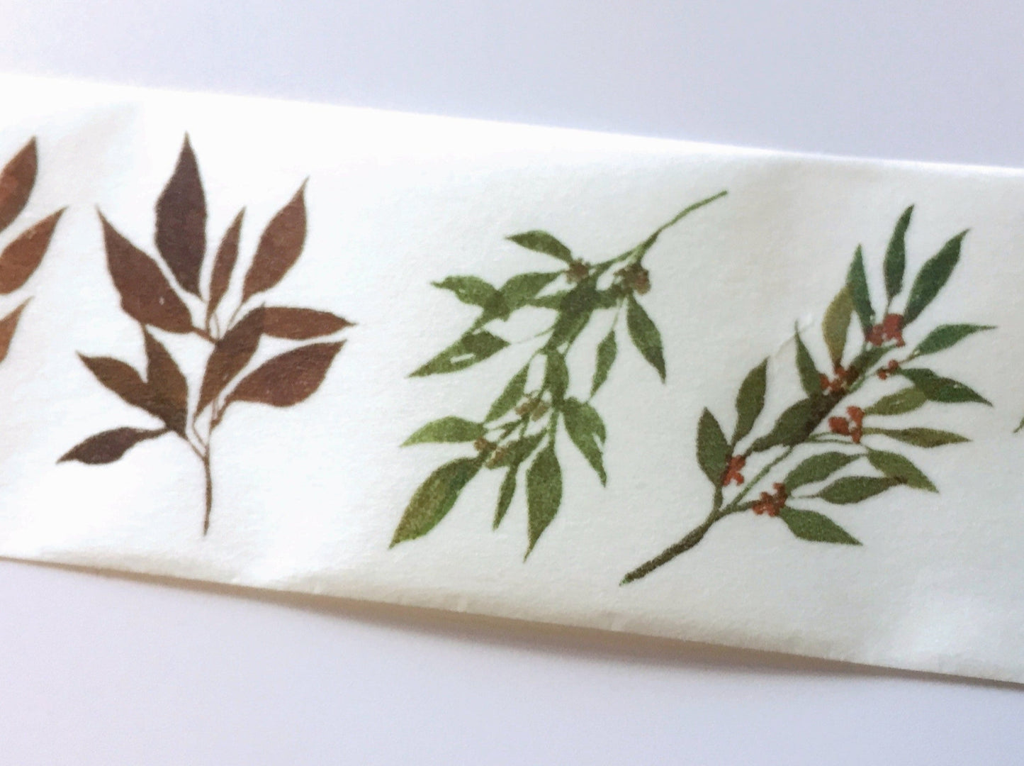 Modaizhi - Fruits & Leaves washi tape SAMPLES