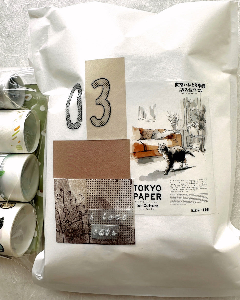 Neverland Studio - Mr. Lazy Cat PET tape SAMPLES