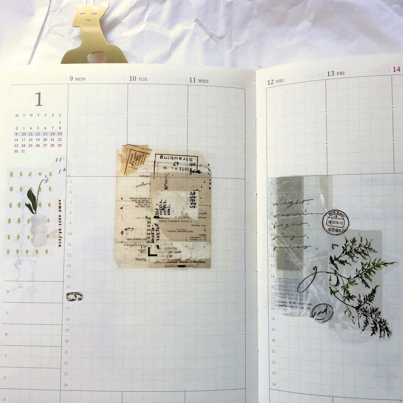 Somesortoffern - Days with Leaves PET tape SAMPLES