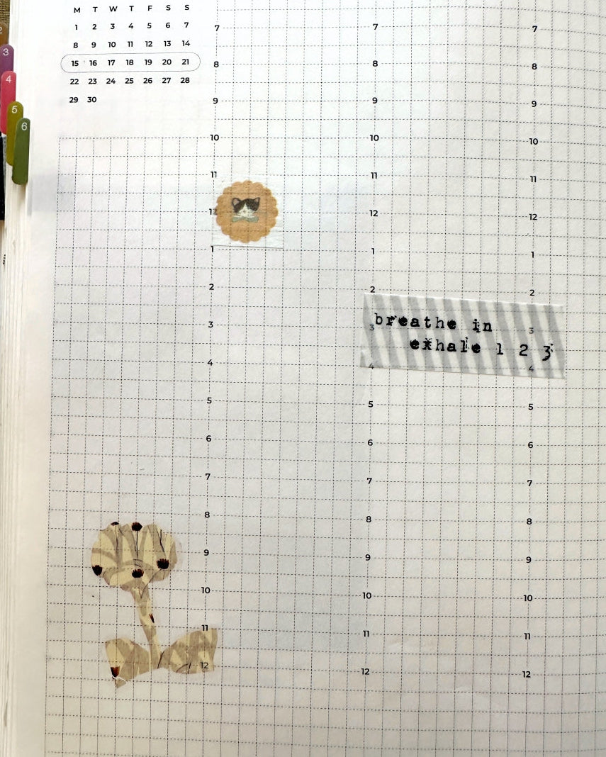 Tobimatsu Shoichiro - On Biscuits washi tape SAMPLES