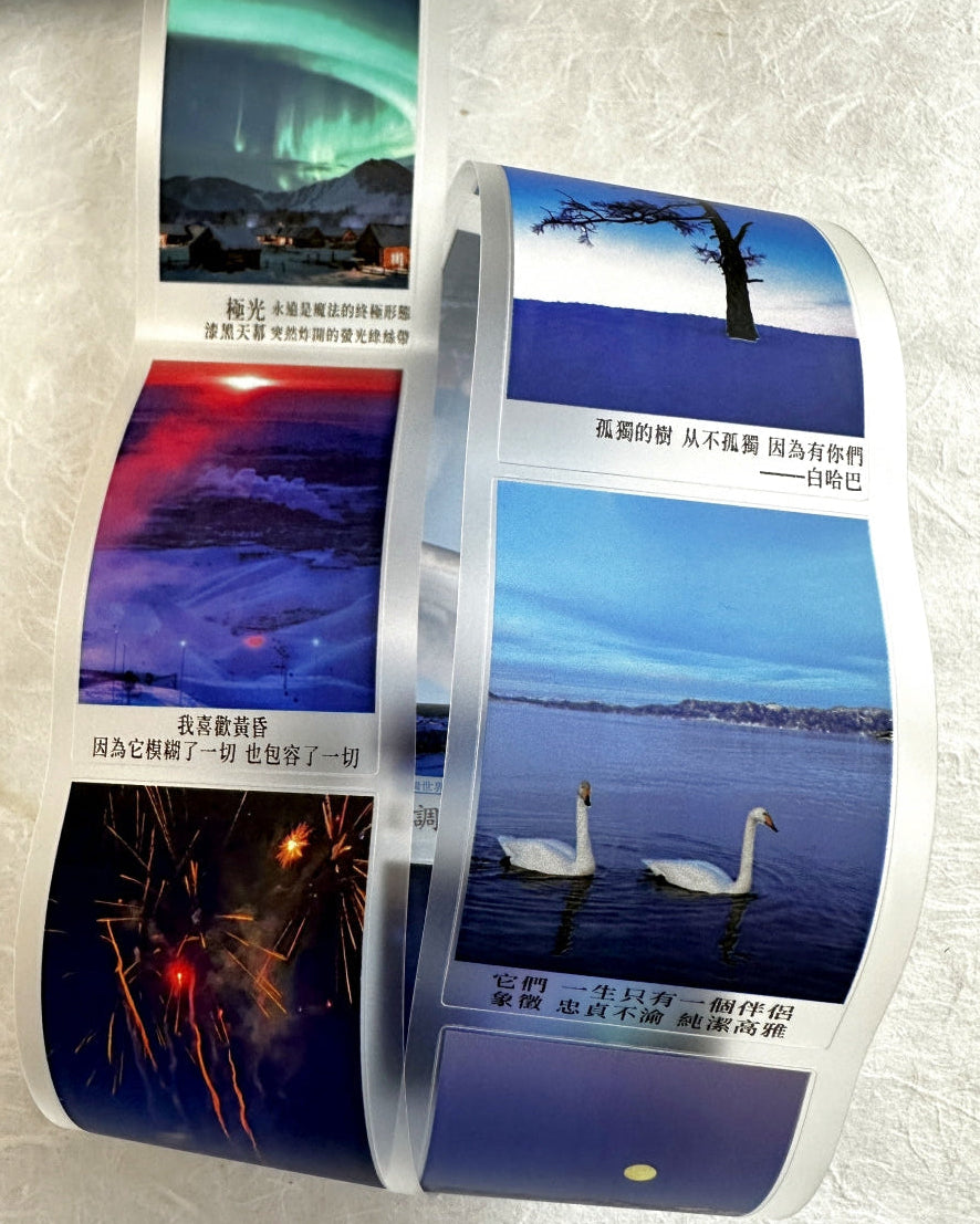 West South Studio - Blues Moment kiss-cut PET tape (5 cm x 150 cm) SAMPLES