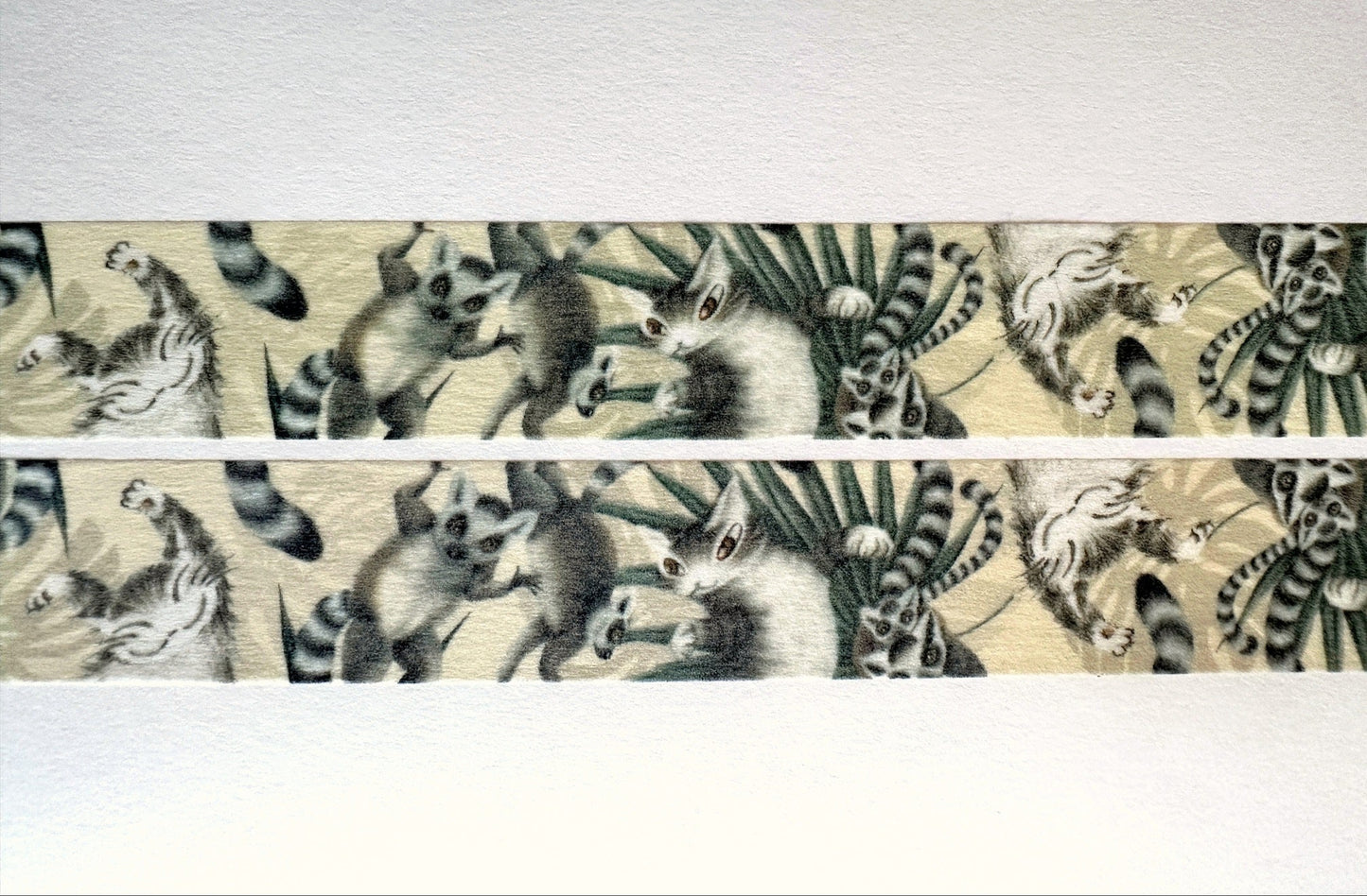 Wachifield - Tail washi tape SAMPLES