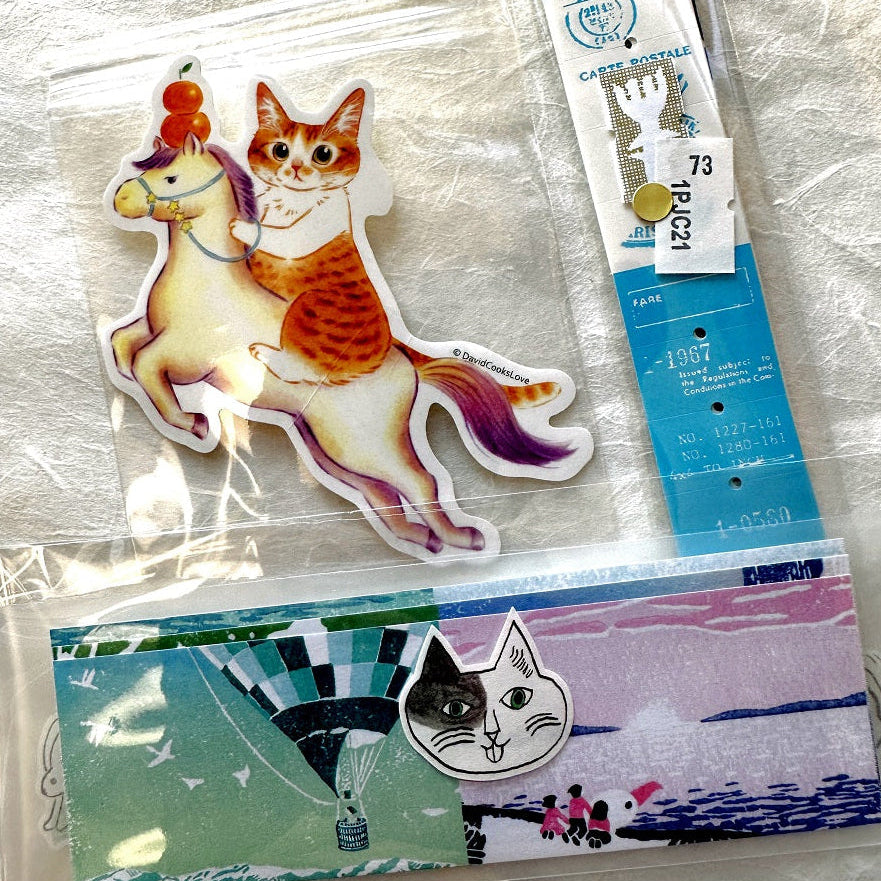 Davidcookslove - Lunar New Year 2026 waterproof sticker