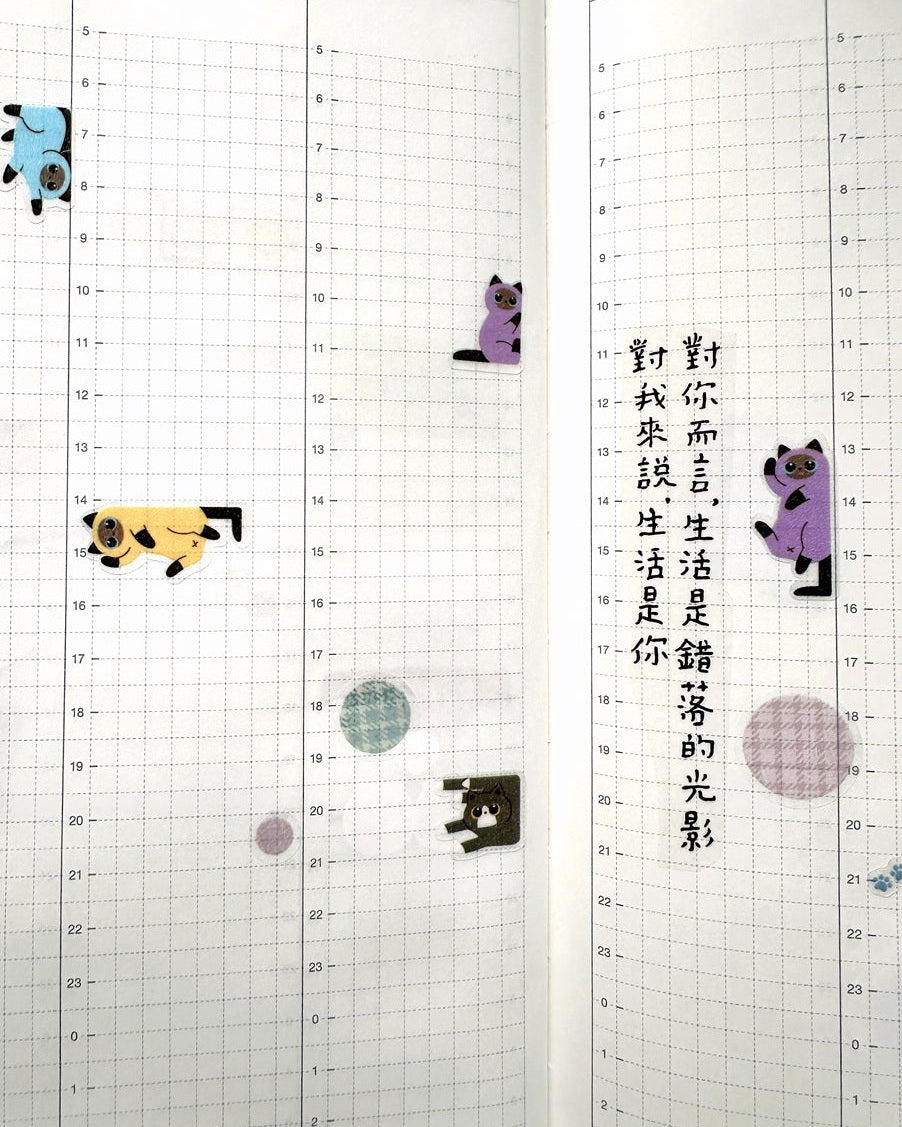 Siyun x Shiwu Studio - Collecting PET tape SAMPLES