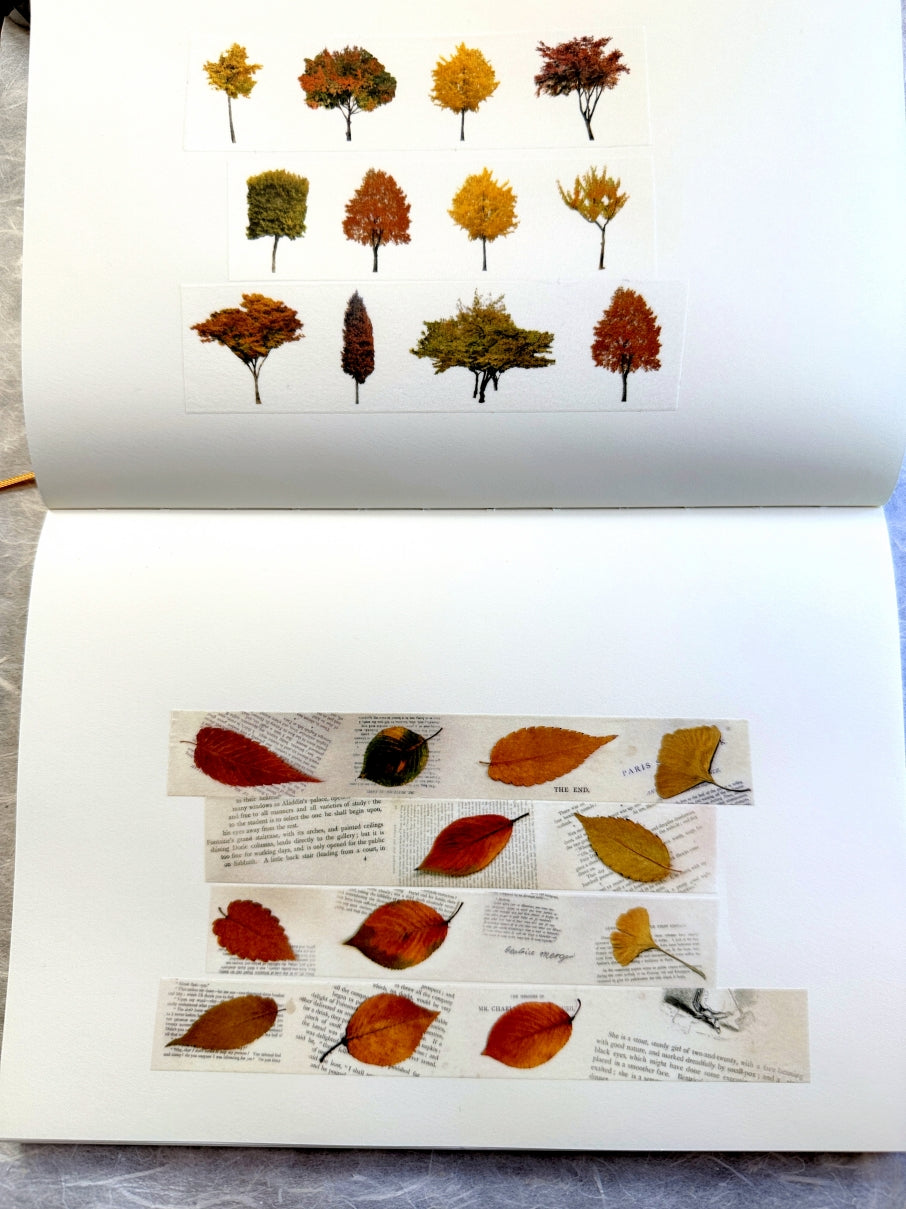 Zagne - Fall Tree washi tape SAMPLES