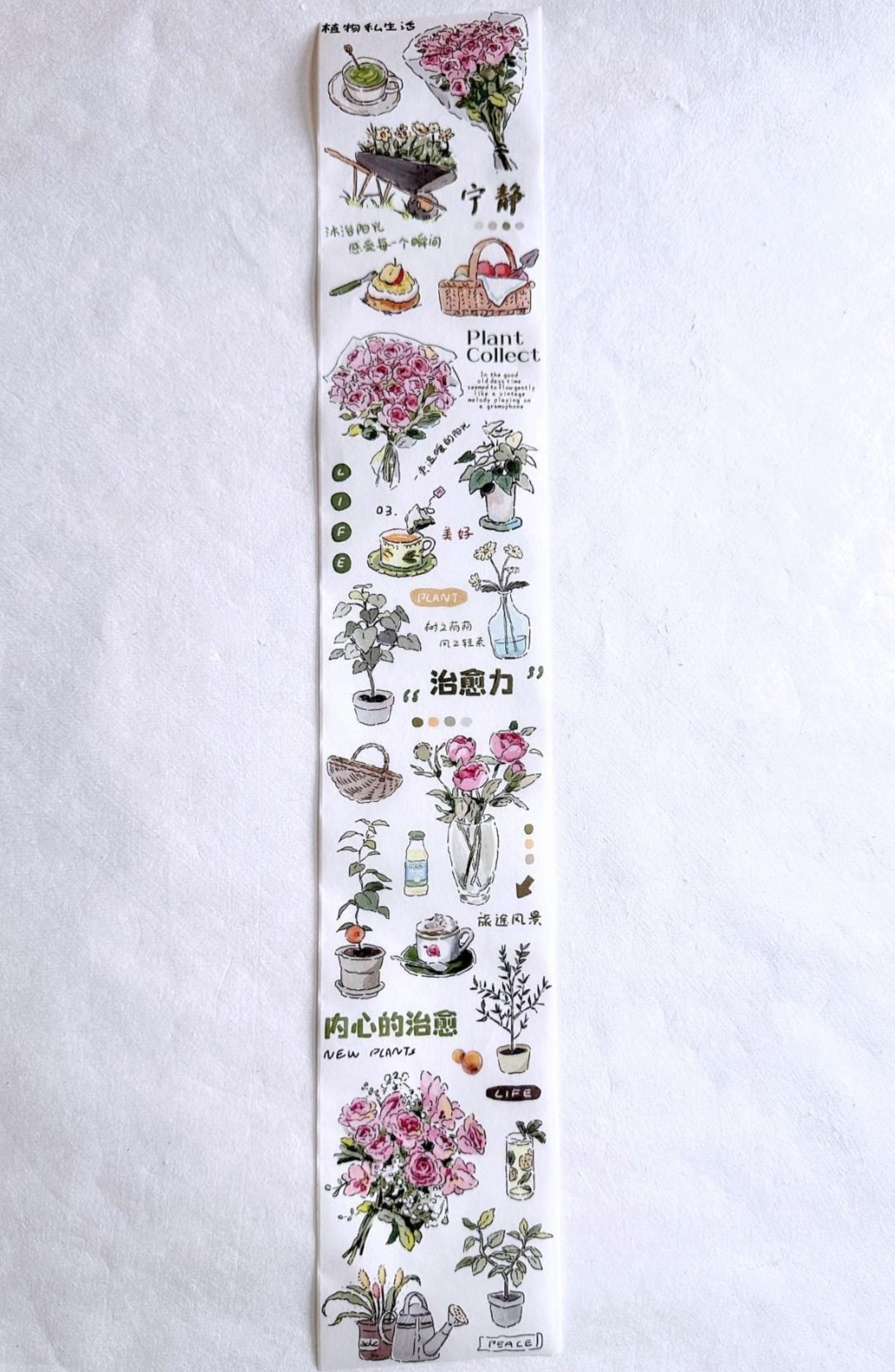 Muguang - Green Time washi tape SAMPLES