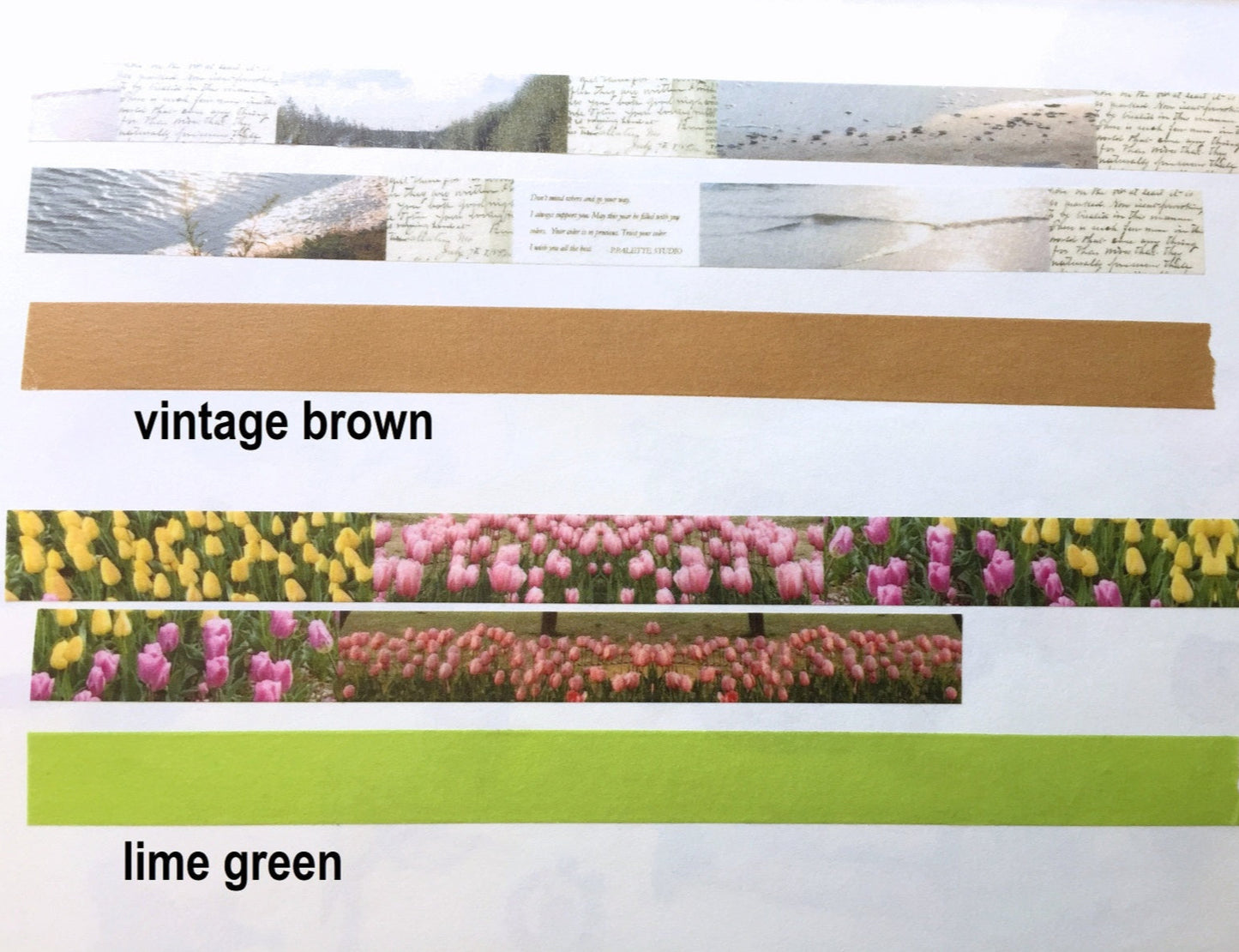 p.palette - Vintage Brown & Lime Green washi tape SAMPLES