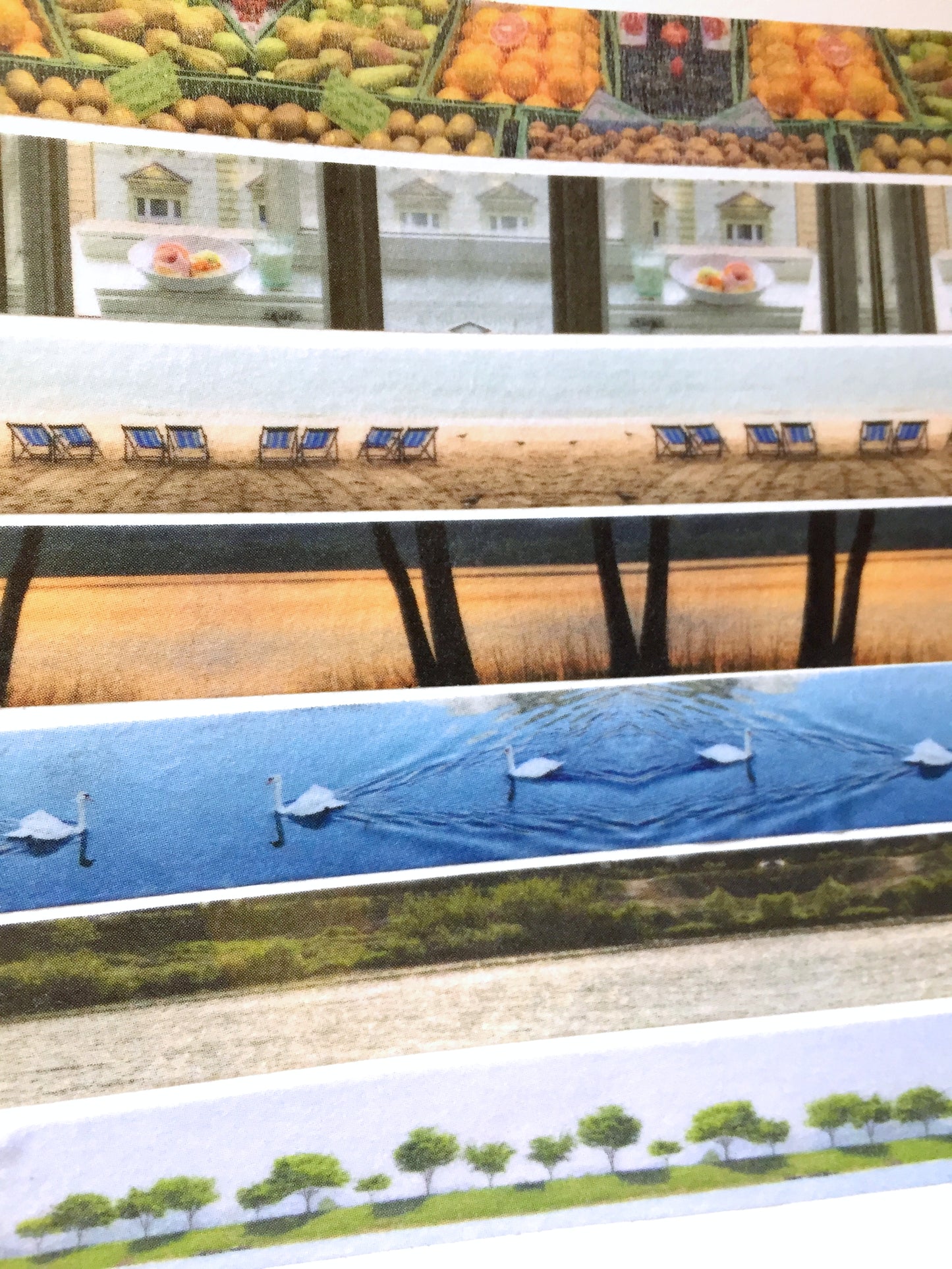 p.palette - photography Korean masking tape SAMPLES