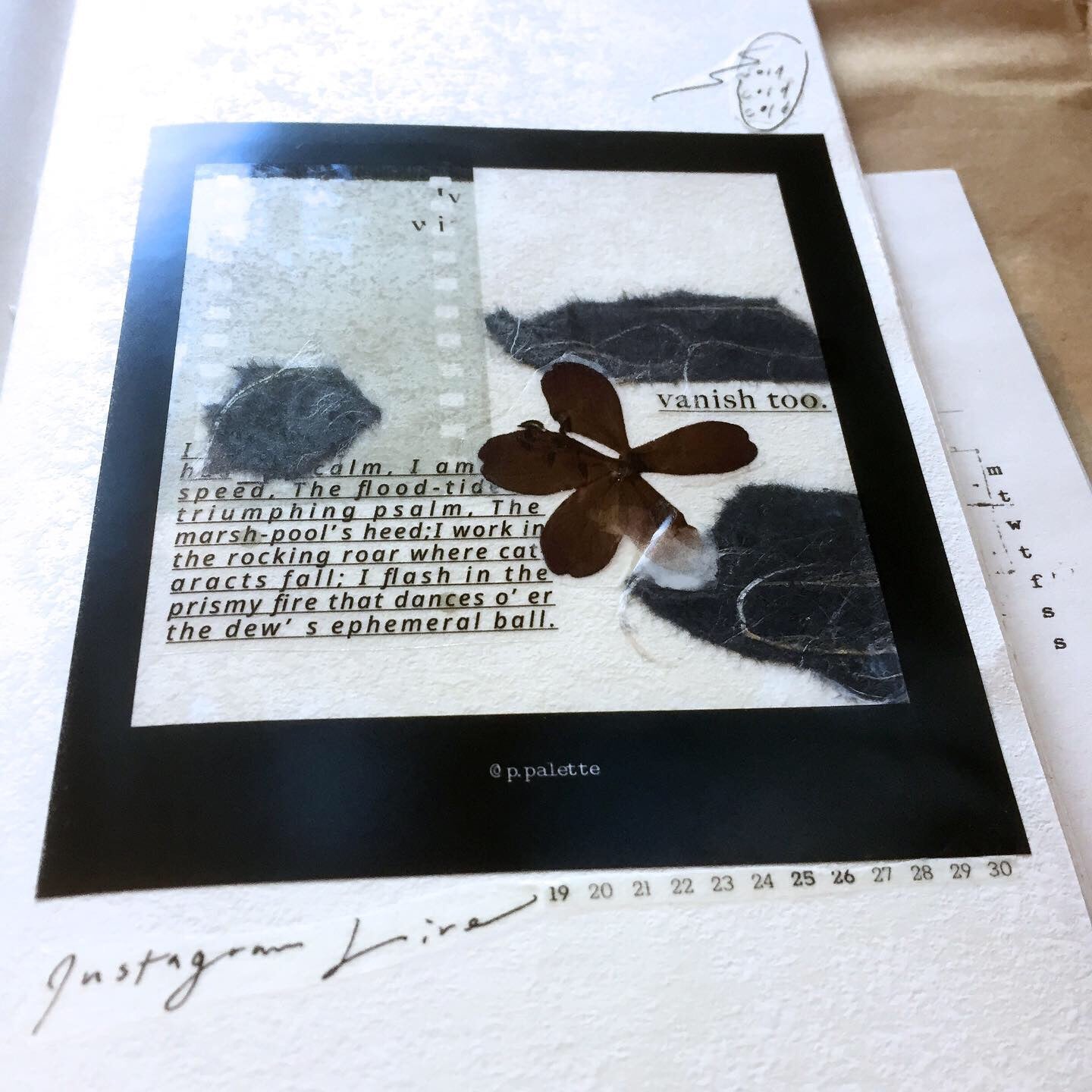 p.palette - photo-style frame stickers (VARIETY SAMPLER PACK)