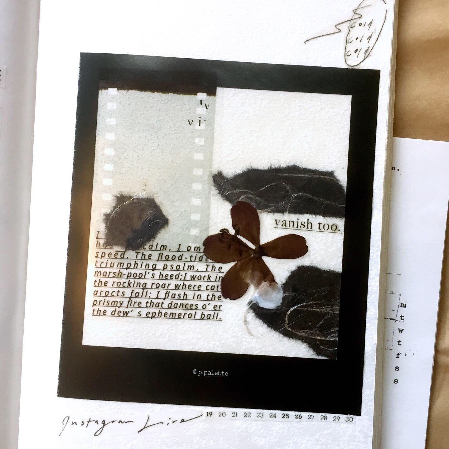 p.palette - photo-style frame stickers (VARIETY SAMPLER PACK)