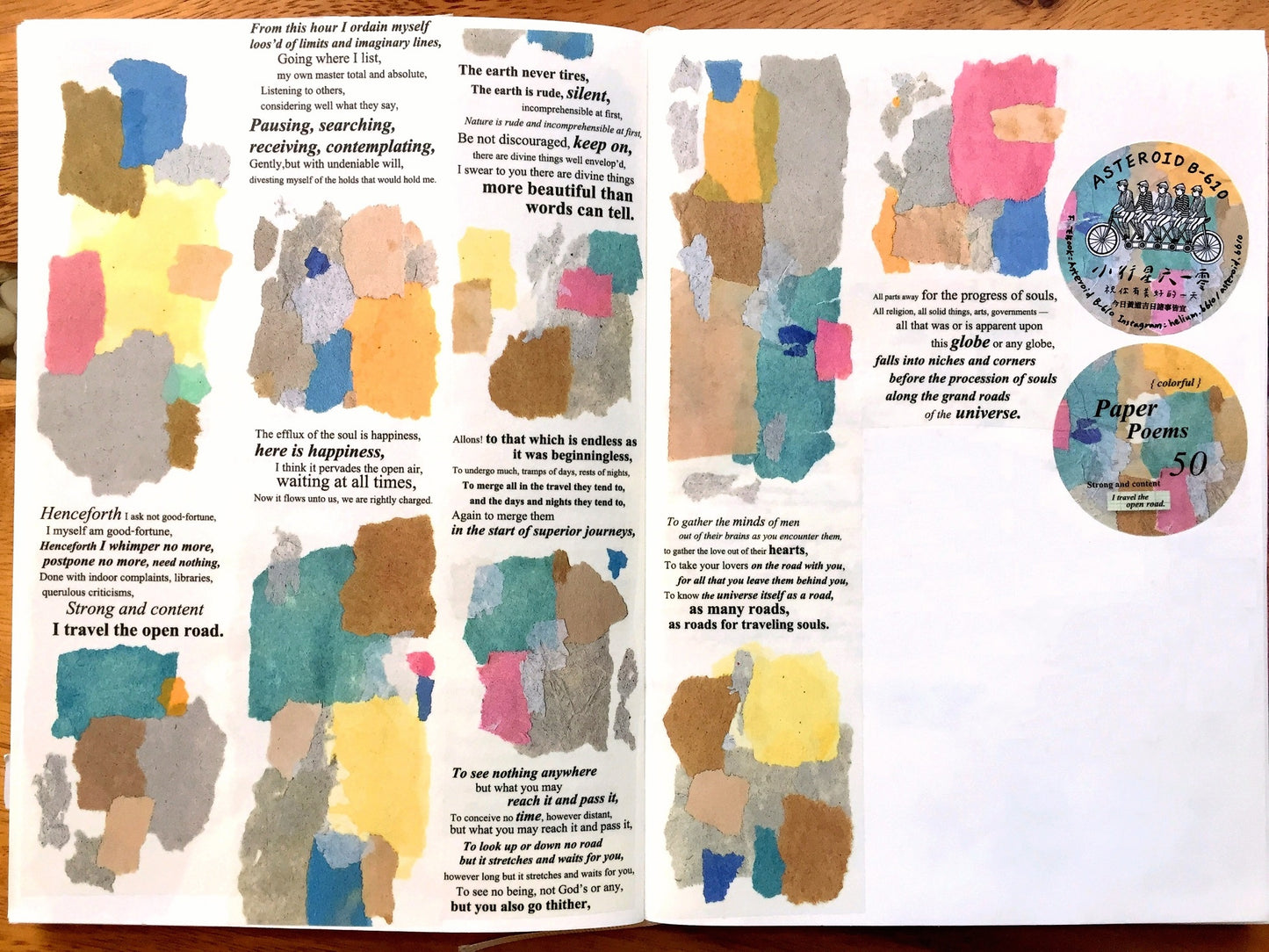 Asteroid B-610 - Paper Poems washi tape SAMPLES