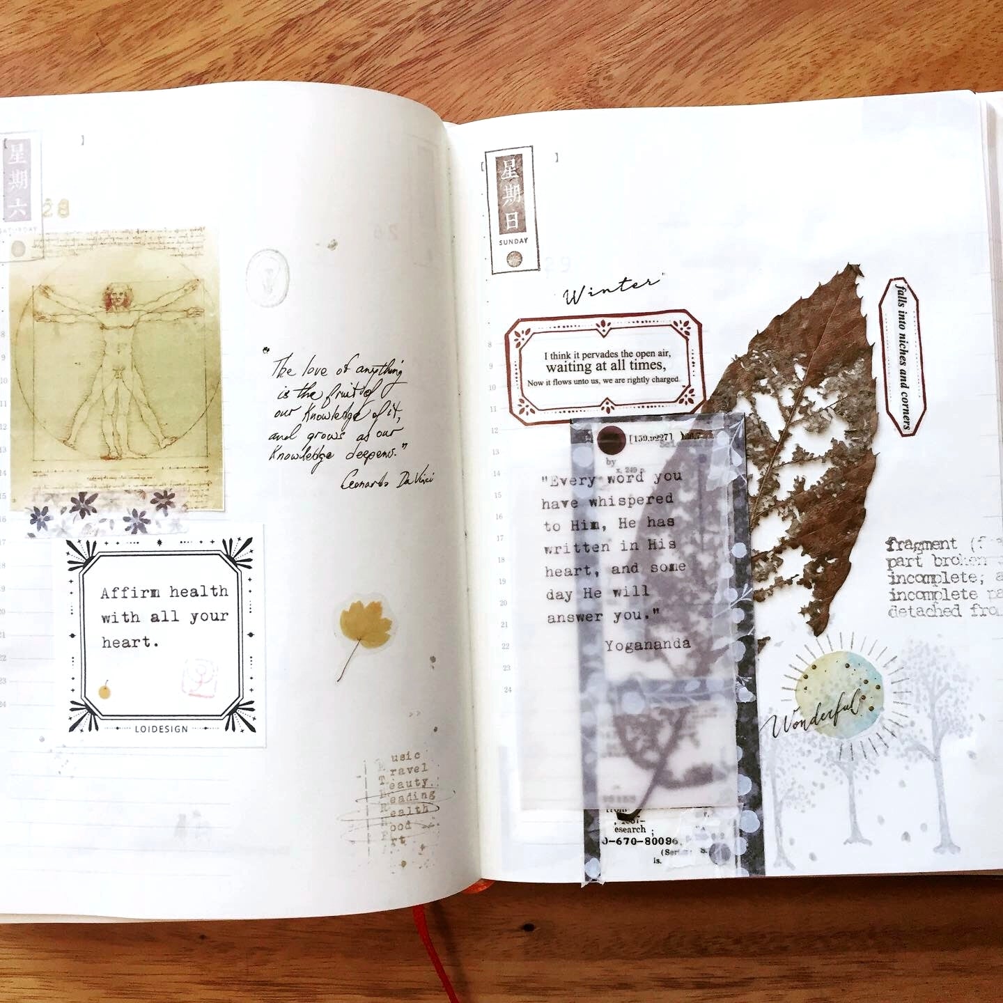 Asteroid B-610 - Paper Poems washi tape SAMPLES