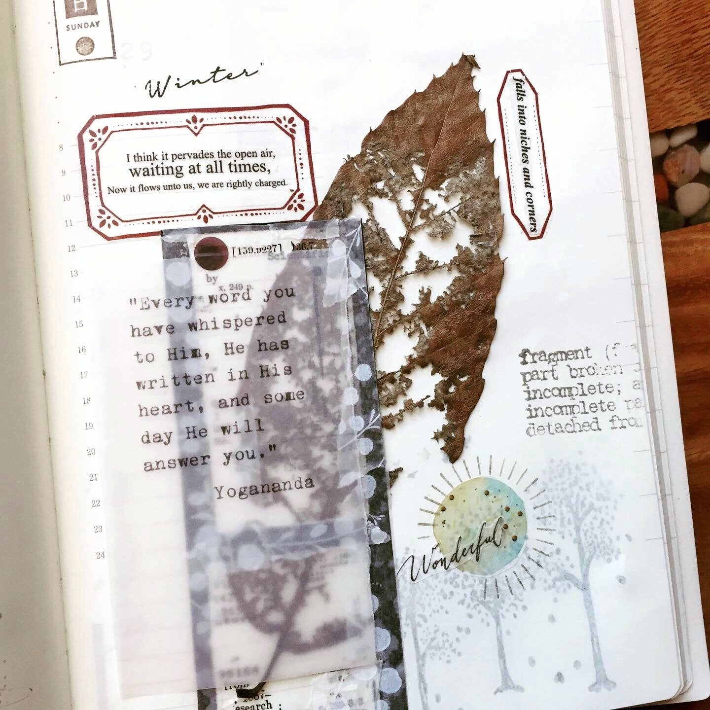 Asteroid B-610 - Paper Poems washi tape SAMPLES