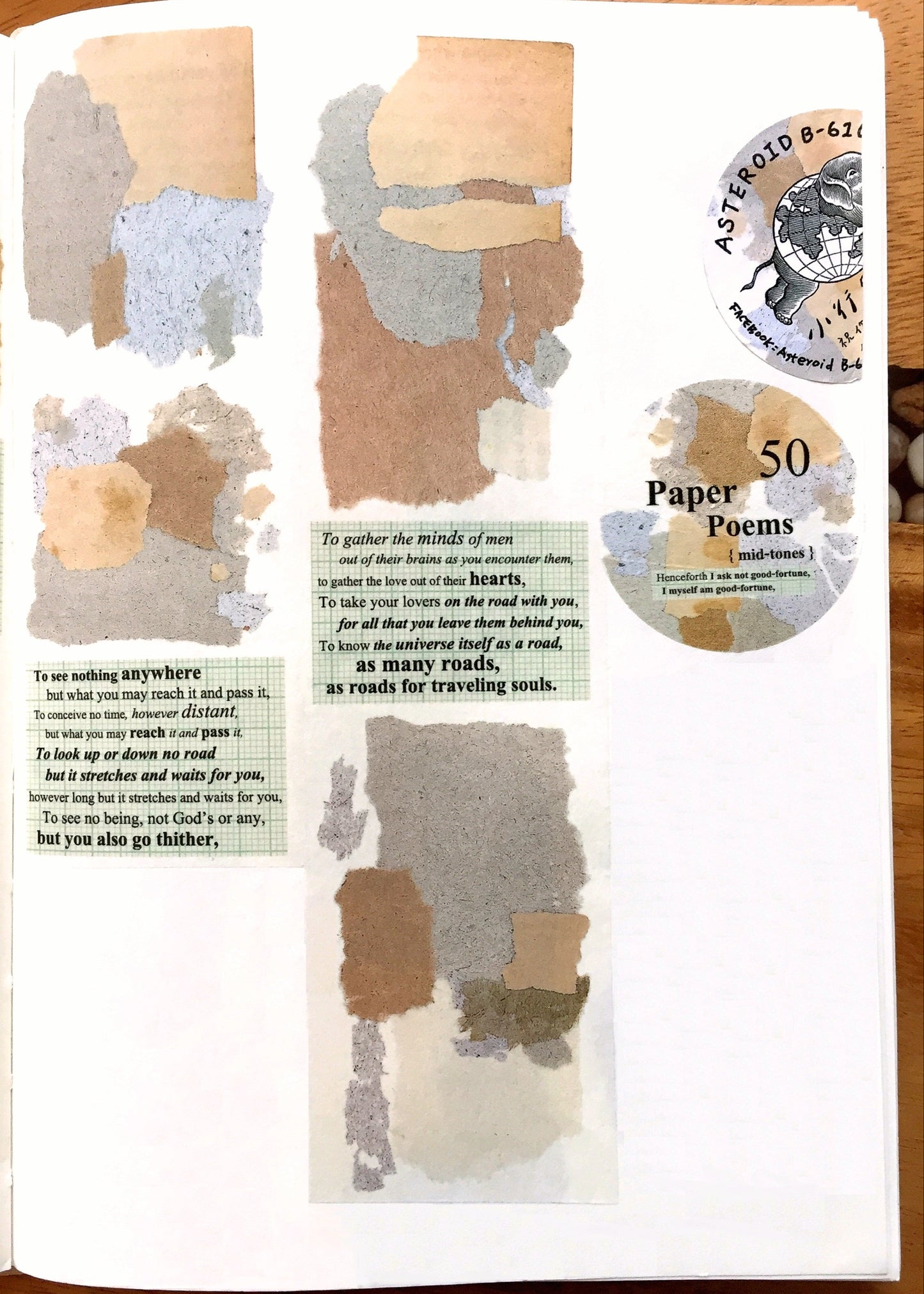 Asteroid B-610 - Paper Poems washi tape SAMPLES