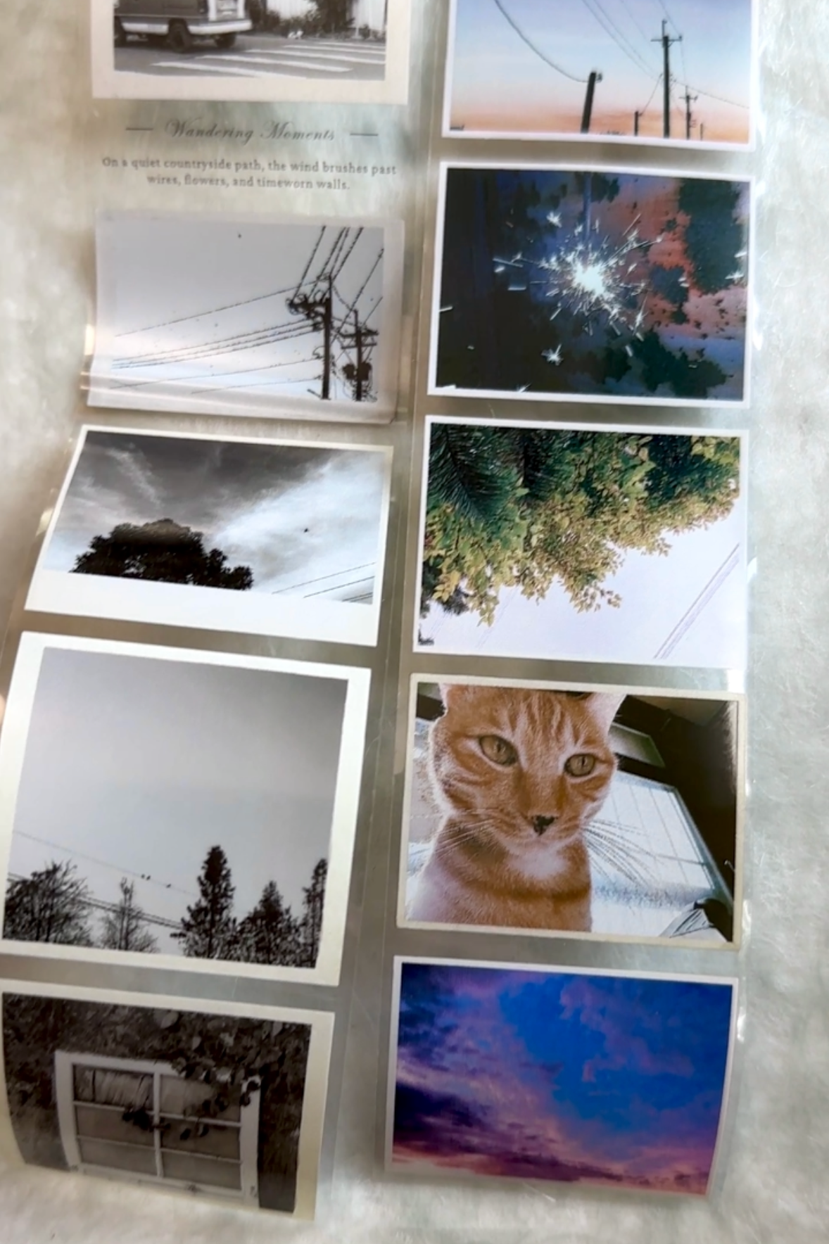 Asteroid B-610 - Wandering Moments PET tape SAMPLES