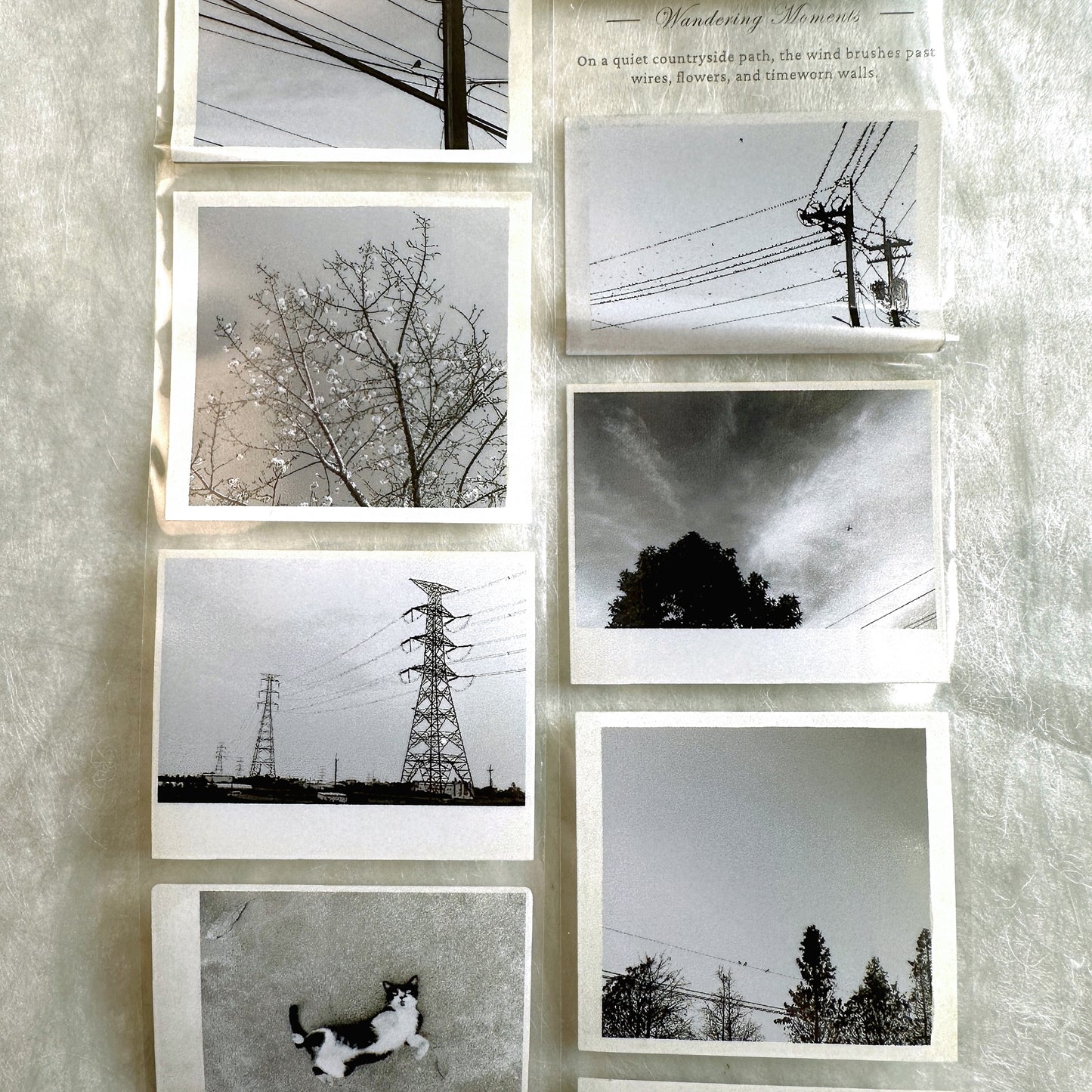 Asteroid B-610 - Wandering Moments PET tape SAMPLES