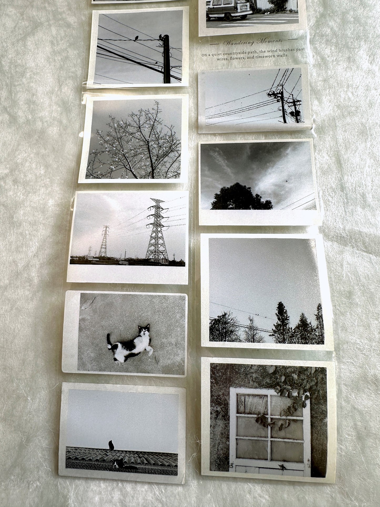 Asteroid B-610 - Wandering Moments PET tape SAMPLES