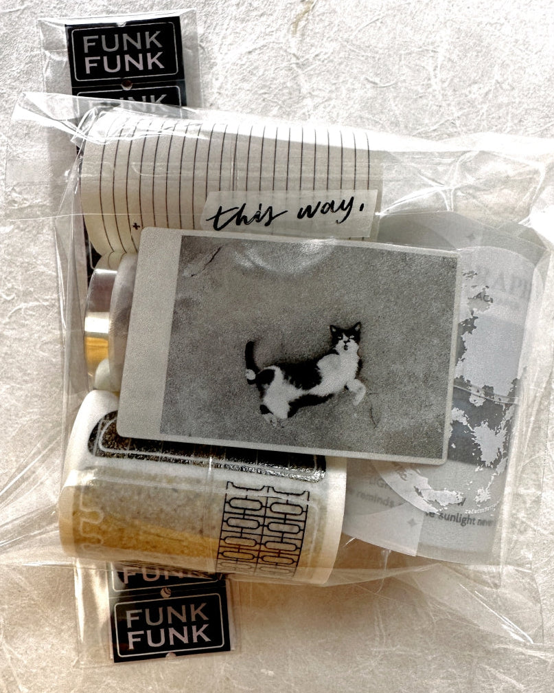 Asteroid B-610 - Wandering Moments PET tape SAMPLES