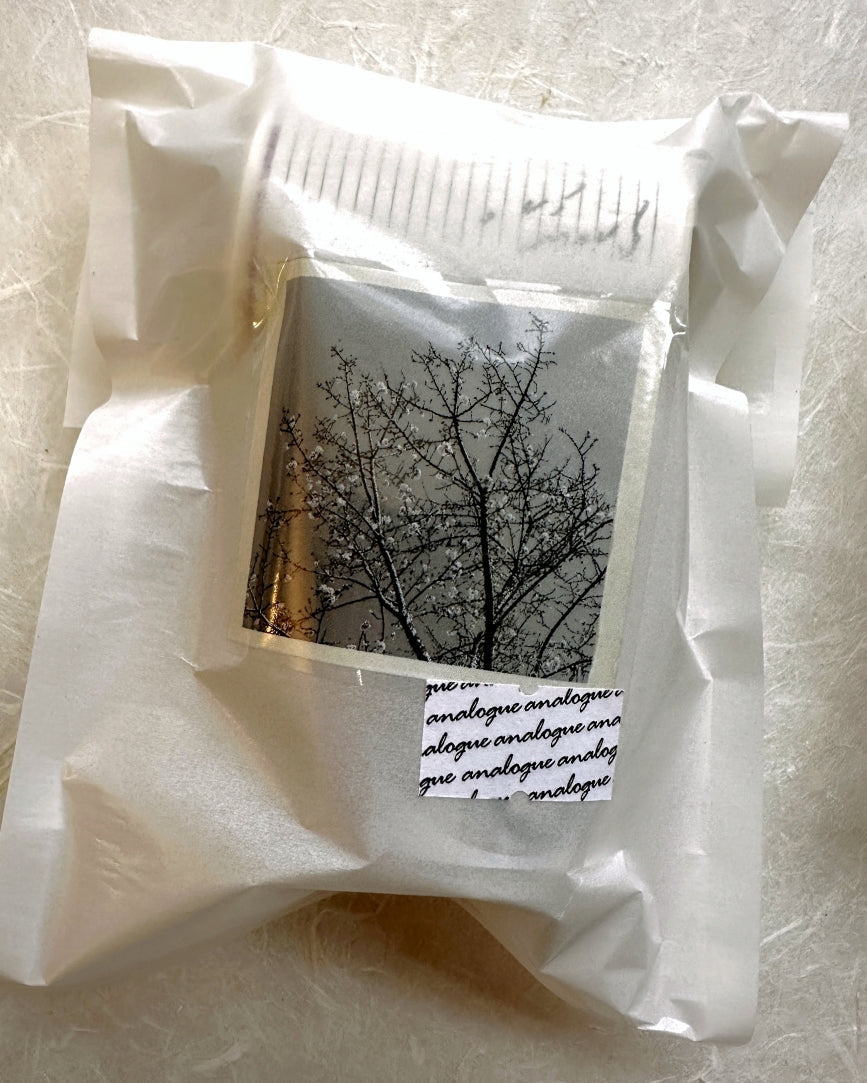 Asteroid B-610 - Wandering Moments PET tape SAMPLES