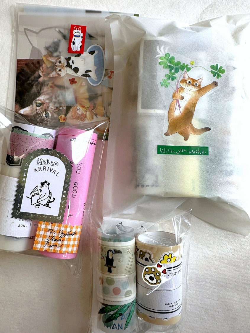 Fafa x A Great Idea - Frames autumnal kiss-cut paper tape SAMPLES