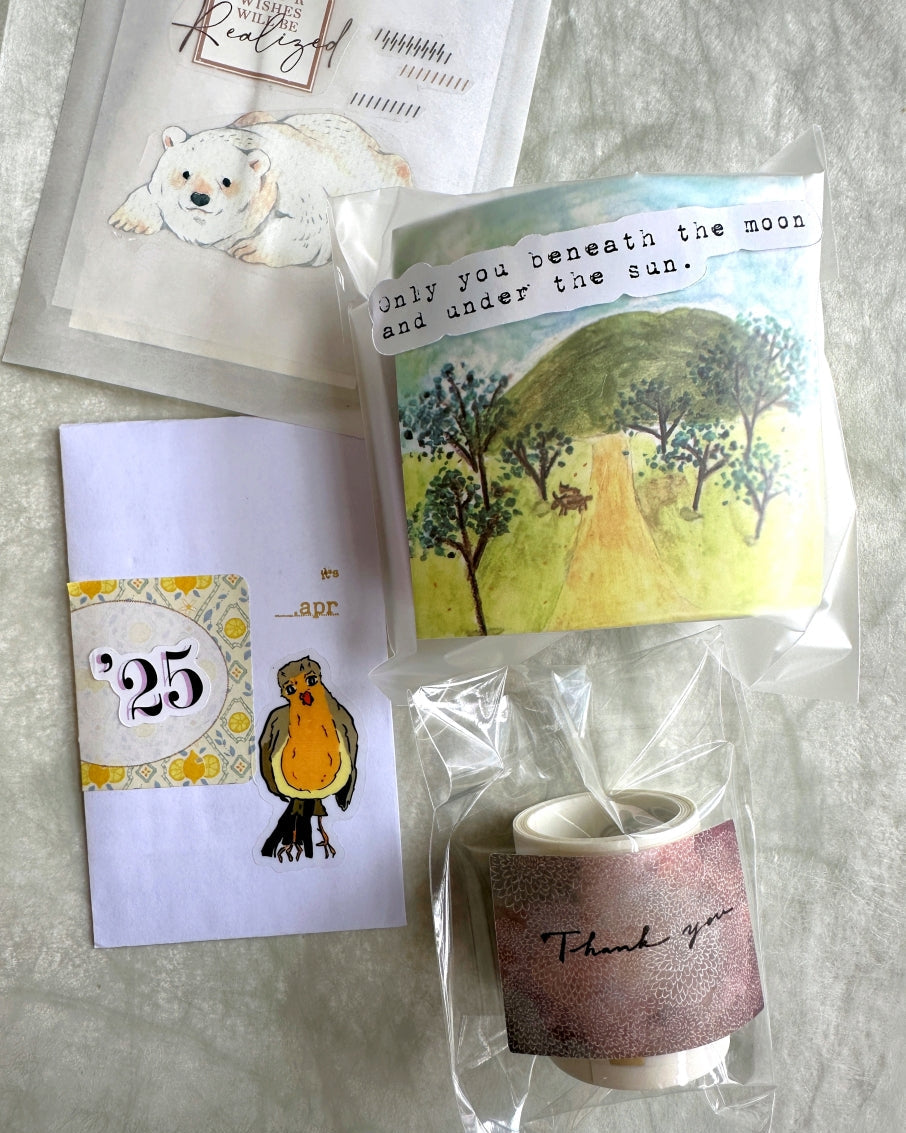 Fafa x A Great Idea - Frames autumnal kiss-cut paper tape SAMPLES