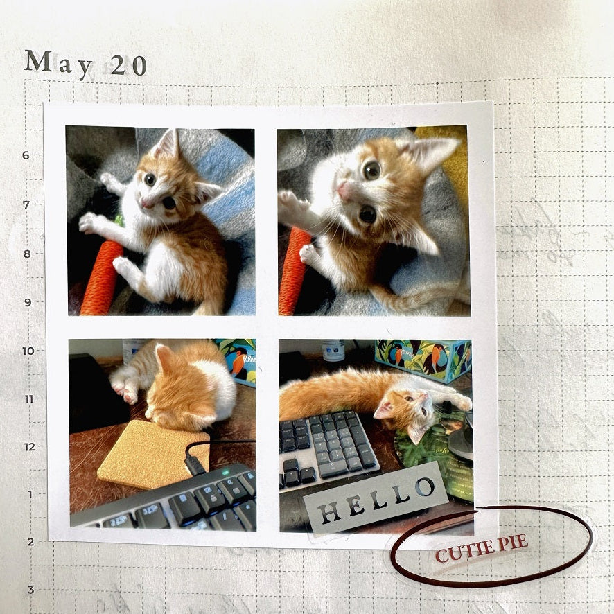 A Kind of Café - Tender Moments kiss-cut PET tape SAMPLES