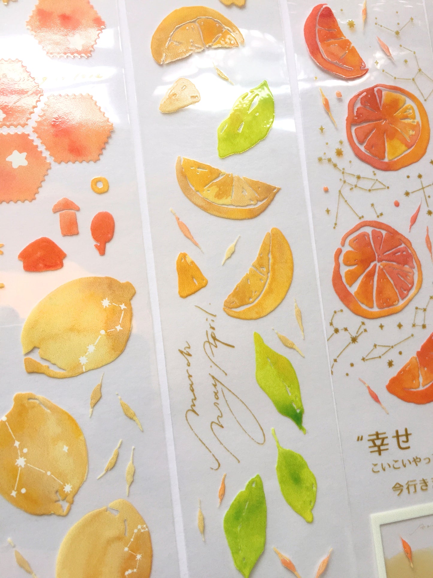 Breezy Studio - Haruichiban PET tape SAMPLES