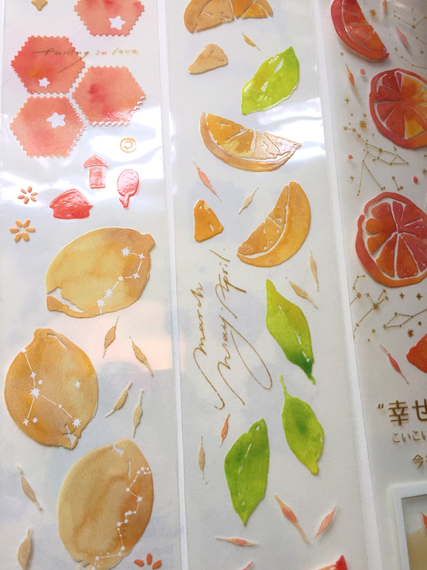 Breezy Studio - Haruichiban PET tape SAMPLES
