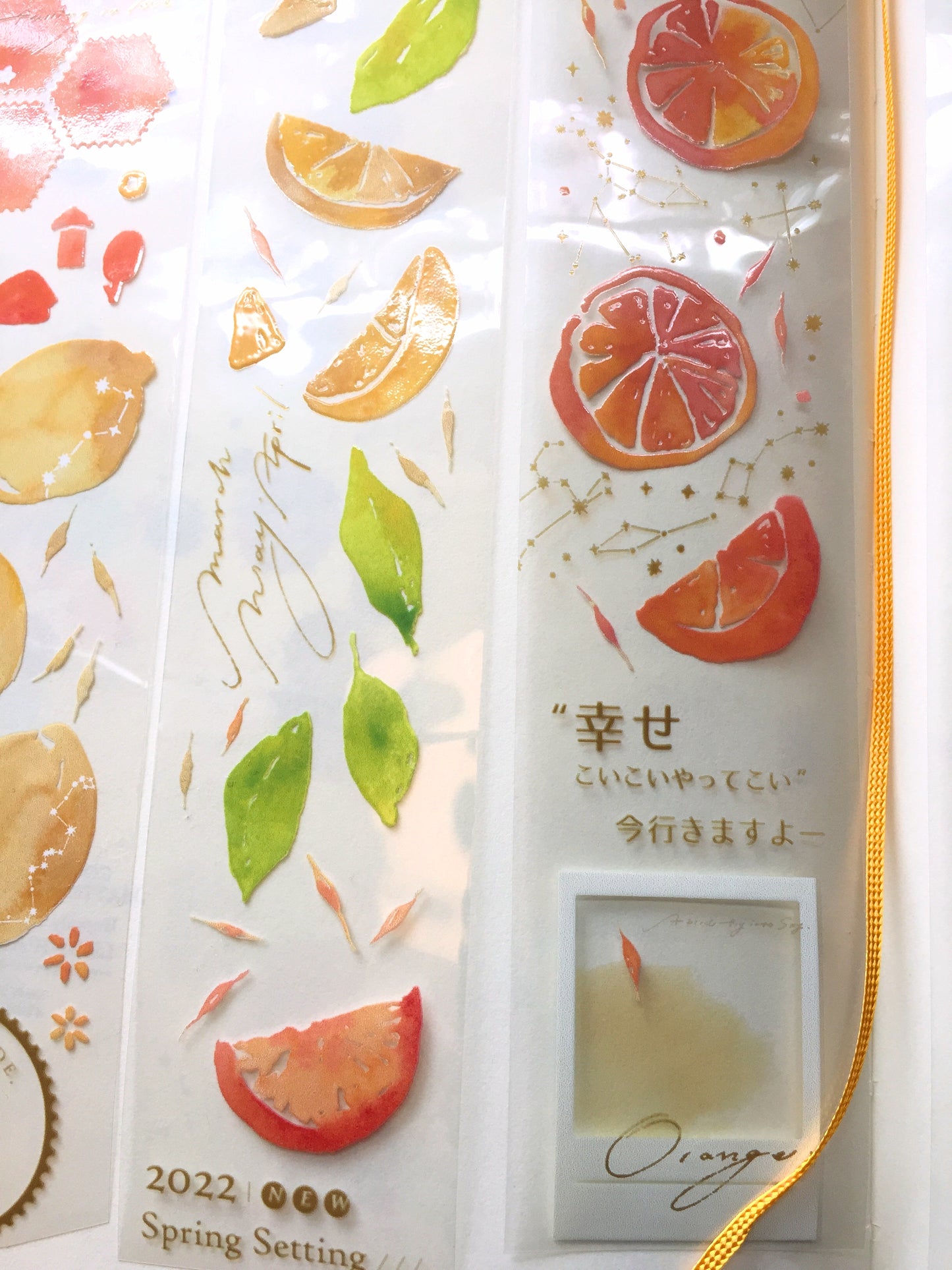 Breezy Studio - Haruichiban PET tape SAMPLES