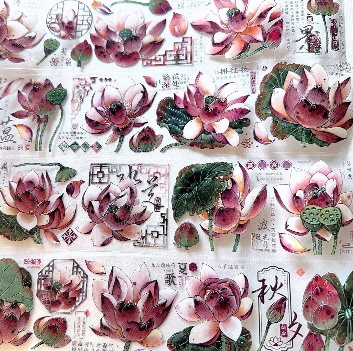 Baicangjia Studio - Powder Mist PET tape SAMPLES