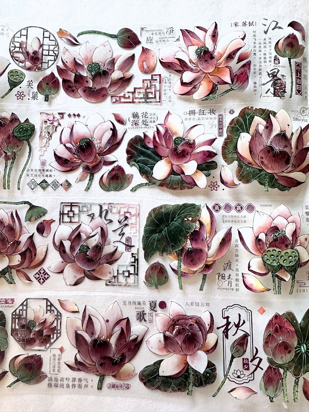 Baicangjia Studio - Powder Mist PET tape SAMPLES