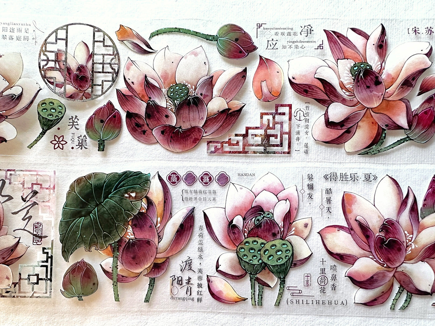 Baicangjia Studio - Powder Mist PET tape SAMPLES