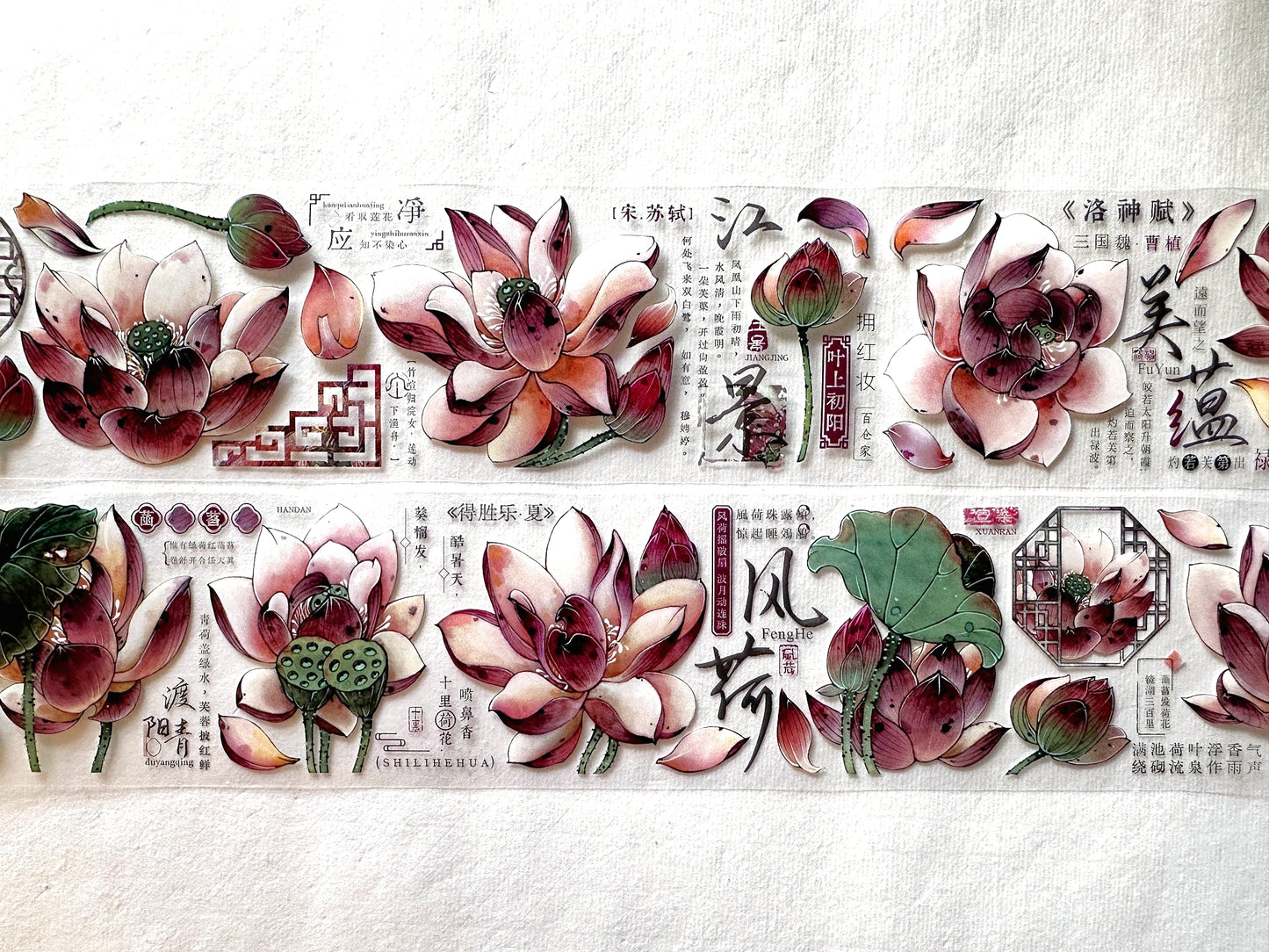 Baicangjia Studio - Powder Mist PET tape SAMPLES