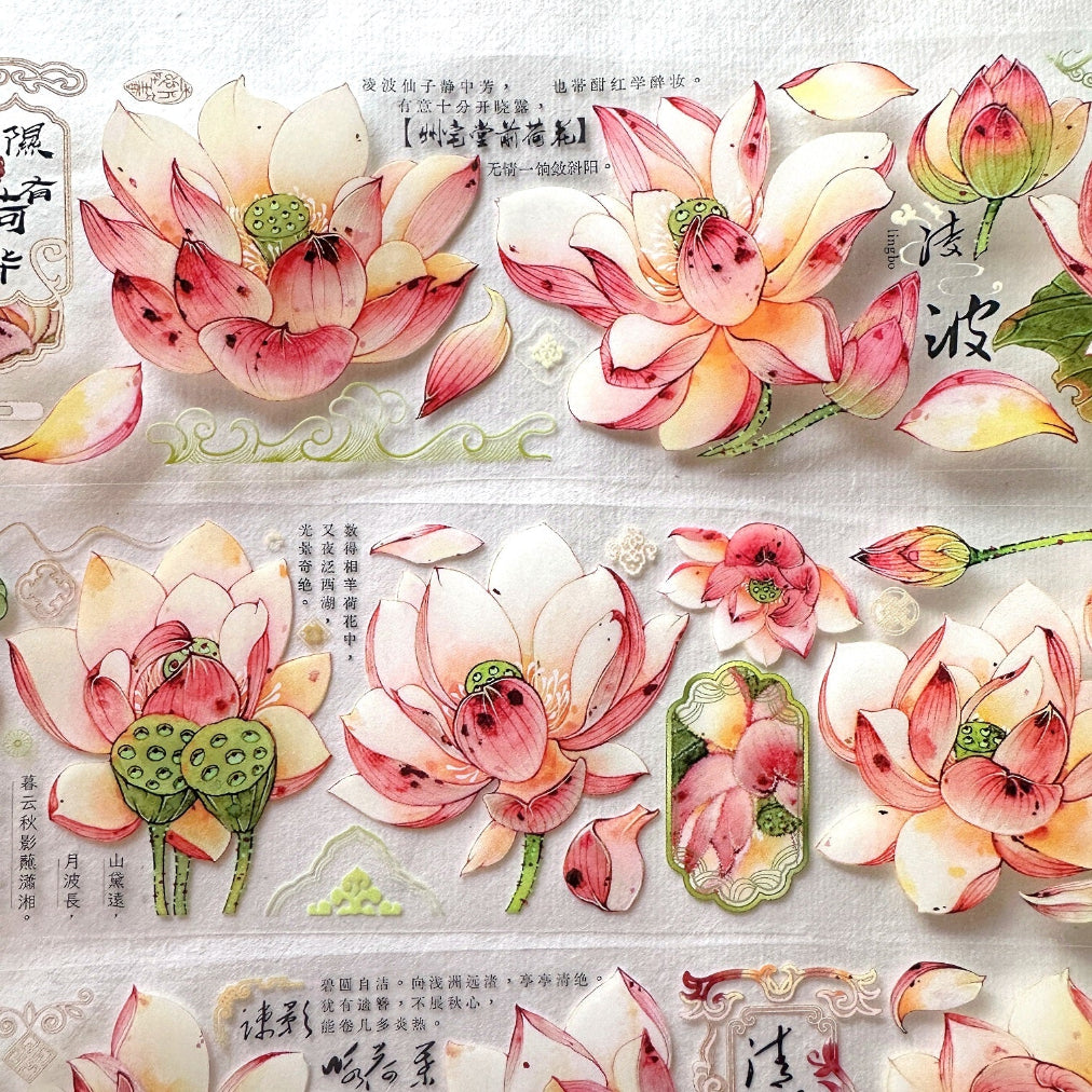 Baicangjia Studio - Powder Mist PET tape SAMPLES