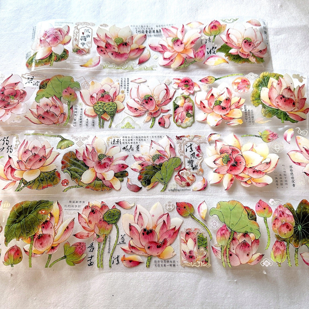 Baicangjia Studio - Powder Mist PET tape SAMPLES