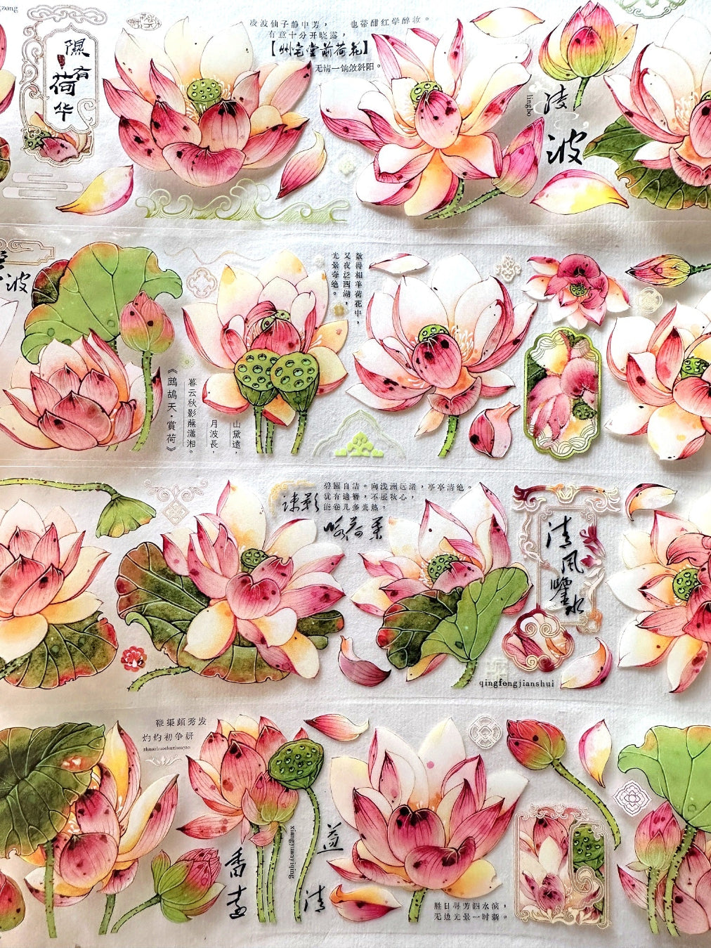 Baicangjia Studio - Powder Mist PET tape SAMPLES