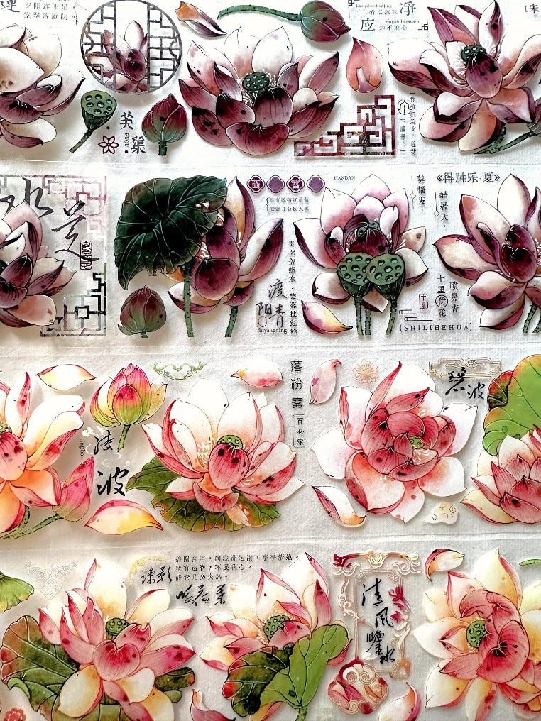 Baicangjia Studio - Powder Mist PET tape SAMPLES