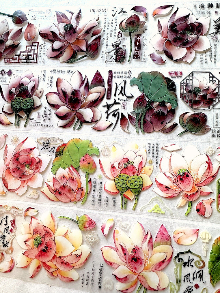 Baicangjia Studio - Powder Mist PET tape SAMPLES