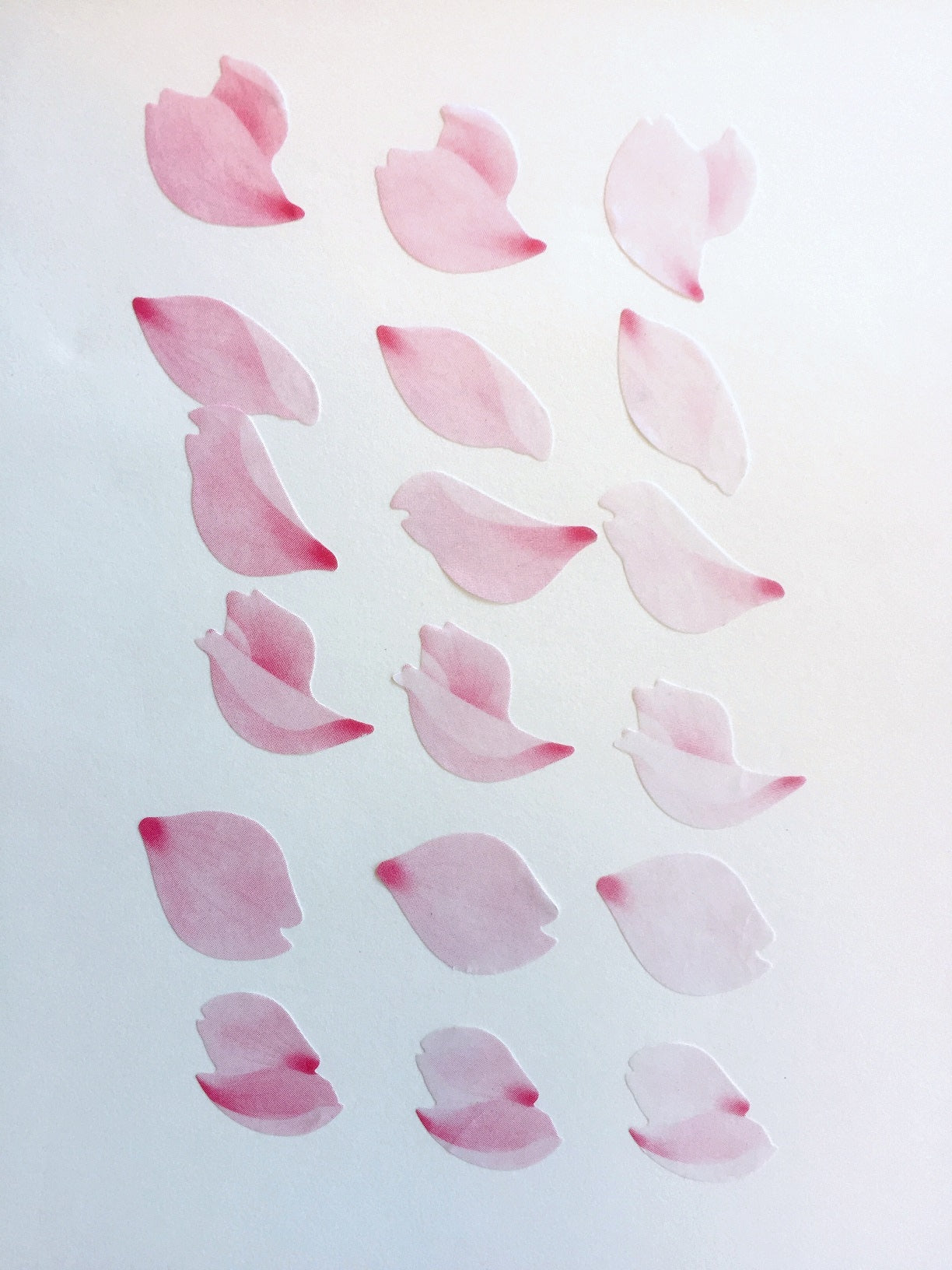 Bande - assorted petal masking sticker roll SAMPLES