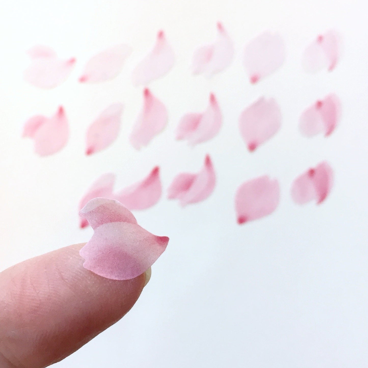 Bande - assorted petal masking sticker roll SAMPLES